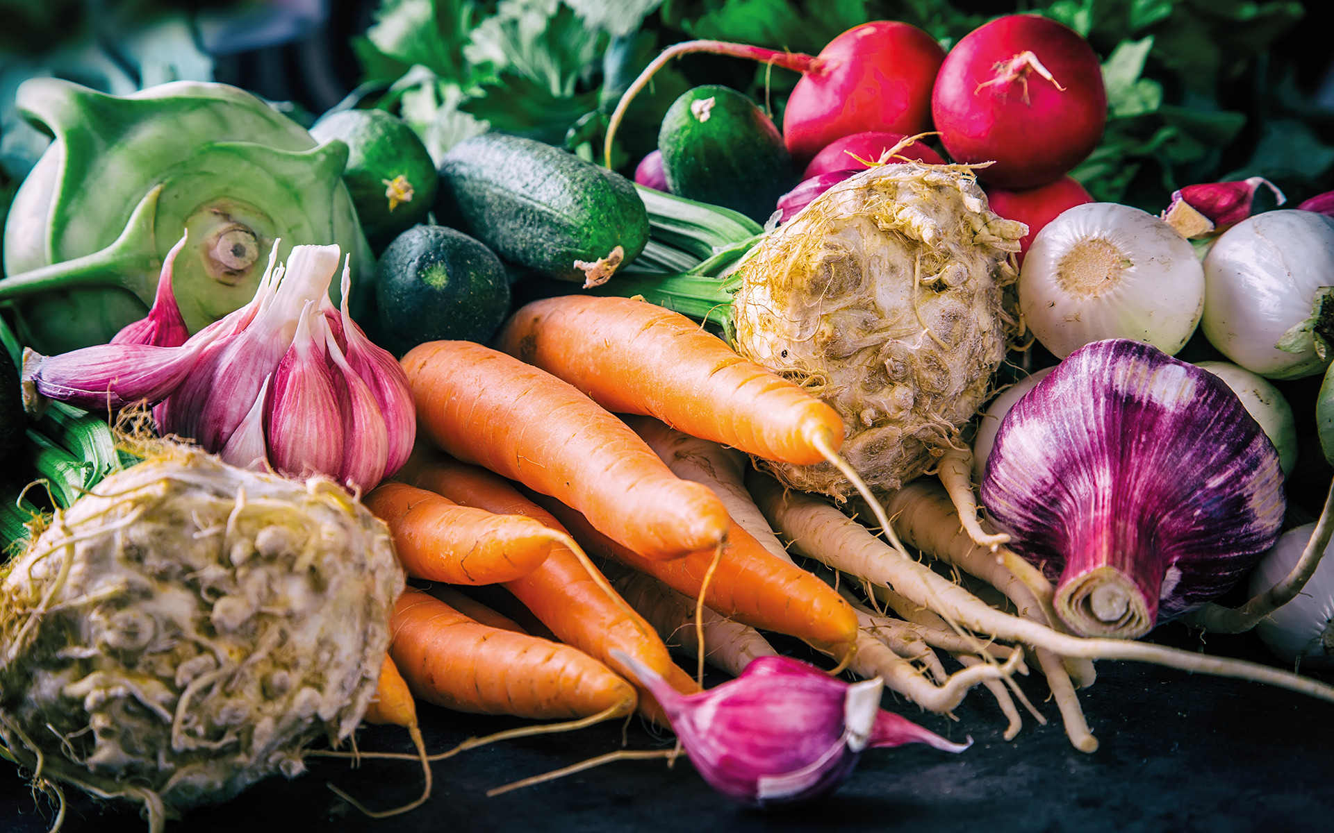 A MELHOR ESCOLHA PARA O AMBIENTE A MELHOR ESCOLHA PARA O AMBIENTE
