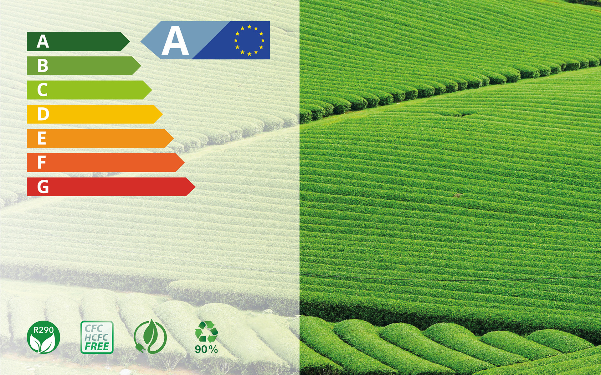 LE MEILLEUR CHOIX POUR L’ENVIRONNEMENT